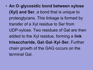 • An O‑ glycosidic bond between xylose
(Xyl) and Ser, a bond that is unique to
proteoglycans. This linkage is formed by
transfer of a Xyl residue to Ser from
UDP‑xylose. Two residues of Gal are then
added to the Xyl residue, forming a link
trisaccharide, Gal‑ Gal‑ Xyl‑ Ser. Further
chain growth of the GAG occurs on the
terminal Gal.

 