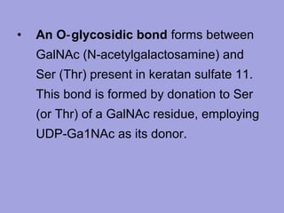 •

An O‑ glycosidic bond forms between
GalNAc (N‑acetylgalactosamine) and
Ser (Thr) present in keratan sulfate 11.
This bond is formed by donation to Ser
(or Thr) of a GalNAc residue, employing
UDP‑Ga1NAc as its donor.

 