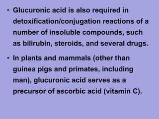 • Glucuronic acid is also required in
detoxification/conjugation reactions of a
number of insoluble compounds, such
as bilirubin, steroids, and several drugs.
• In plants and mammals (other than
guinea pigs and primates, including
man), glucuronic acid serves as a
precursor of ascorbic acid (vitamin C).

 