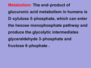 • Metabolism: The end‑ product of
glucuronic acid metabolism in humans is
D‑ xylulose 5‑ phosphate, which can enter
the hexose monophosphate pathway and
produce the glycolytic intermediates
glyceraldehyde 3‑ phosphate and
fructose 6‑ phophate .

 