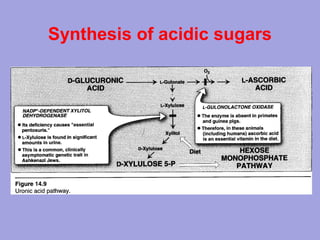 Synthesis of acidic sugars

 