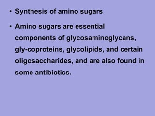• Synthesis of amino sugars
• Amino sugars are essential
components of glycosaminoglycans,
gly­coproteins, glycolipids, and certain
oligosaccharides, and are also found in
some antibiotics.

 
