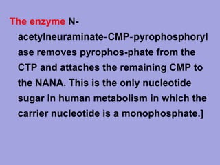The enzyme N­
acetylneuraminate‑ CMP‑ pyrophosphoryl
ase removes pyrophos­phate from the
CTP and attaches the remaining CMP to
the NANA. This is the only nucleotide
sugar in human metabolism in which the
carrier nucleotide is a monophosphate.]

 