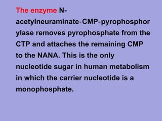 • The enzyme N­
acetylneuraminate‑ CMP‑ pyrophosphor
ylase removes pyrophosphate from the
CTP and attaches the remaining CMP
to the NANA. This is the only
nucleotide sugar in human metabolism
in which the carrier nucleotide is a
monophosphate.

 