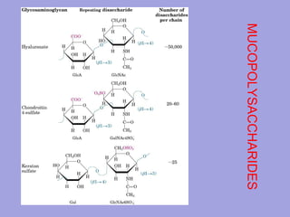 MUCOPOLYSACCHARIDES

 