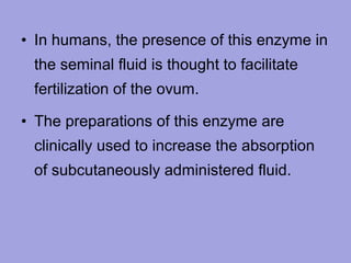 • In humans, the presence of this enzyme in
the seminal fluid is thought to facilitate
fertilization of the ovum.
• The preparations of this enzyme are
clinically used to increase the absorption
of subcutaneously administered fluid.

 