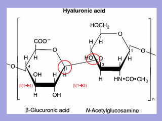 β(14)

β(13)

 