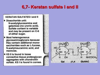 6,7- Keratan sulfate I and II

 