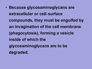 • Because glycosaminoglycans are
extracellular or cell‑ surface
compounds, they must be engulfed by
an invagination of the cell membrane
(phagocytosis), forming a vesicle
inside of which the
glycosaminoglycans are to be
degraded.

 