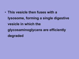 • This vesicle then fuses with a
lysosome, forming a single digestive
vesicle in which the
glycosaminoglycans are efficiently
degraded

 