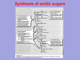 Synthesis of acidic sugars

 