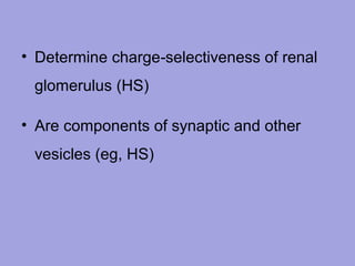 • Determine charge‑selectiveness of renal
glomerulus (HS)
• Are components of synaptic and other
vesicles (eg, HS)

 