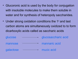 • Glucoronic acid is used by the body for conjugation
with insoluble molecules to make them soluble in
water and for synthesis of heteropoly saccharides.
• Under strong oxidation conditions the 1st and last
carbon atoms are simultaneously oxidized to to form
dicarboxylic acids called as saccharic acids
glucose

glucosaccharic acid

mannose

mannaric acid

galactose

mucic acid

 