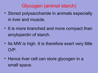 Glycogen (animal starch)
• Stored polysaccharide in animals especially
in liver and muscle.
• It is more branched and more compact than
amylopectin of starch.
• Its MW is high. It is therefore exert very little
O/P.
• Hence liver cell can store glycogen in a
small space.

 