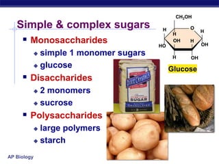 AP Biology
Simple & complex sugars
 Monosaccharides
 simple 1 monomer sugars
 glucose
 Disaccharides
 2 monomers
 sucrose
 Polysaccharides
 large polymers
 starch
OH
OH
H
H
HO
CH2OH
H
H
H
OH
O
Glucose
 