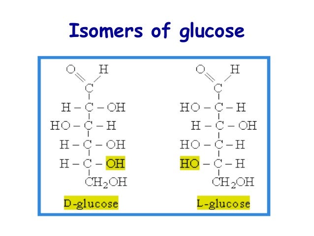 fischer structure of galactose of Metabolism Carbohydrates