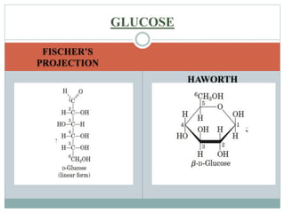 FISCHER’S 
PROJECTION 
HAWORTH 
PROJECTION 
GLUCOSE 
 