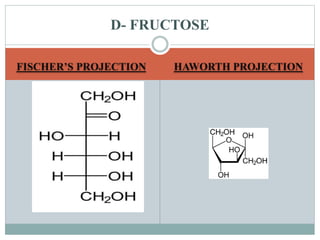 D- FRUCTOSE 
FISCHER’S PROJECTION HAWORTH PROJECTION 
 