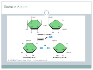 Sucrase Action:- 
 