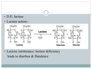  D.E: lactase 
 Lactase action:- 
 Lactose intolerance: lactase deficiency 
leads to diarrhea & flatulence 
 