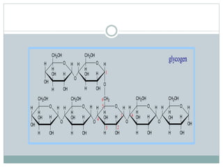 CH2OH 
CH2OH 
H 
OH 
H O 
OH 
H 
H 
OH 
H OH 
CH2 
CH2OH 
H 
OH 
H H O H 
H O 
H 
CH2OH 
H 
OH 
H OH 
O 
O 
H 
H 
OH 
H OH 
CH2OH 
CH2OH 
H O H 
H H O 
H 
H 
OH 
H OH 
OH 
O 
H 
H 
OH 
H OH 
O 
H 
O 
1 4 
6 
H O 
H 
H OH 
H H O 
H 
H OH 
H 
O 
1 
OH 
3 
4 
5 
2 
glycogen 
 
