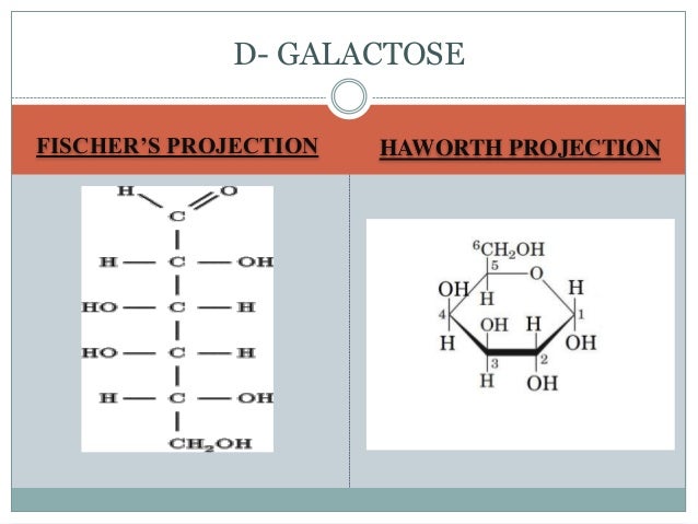 l structure galactose ring Carbohydrates l structure galactose ring Carbohydrates