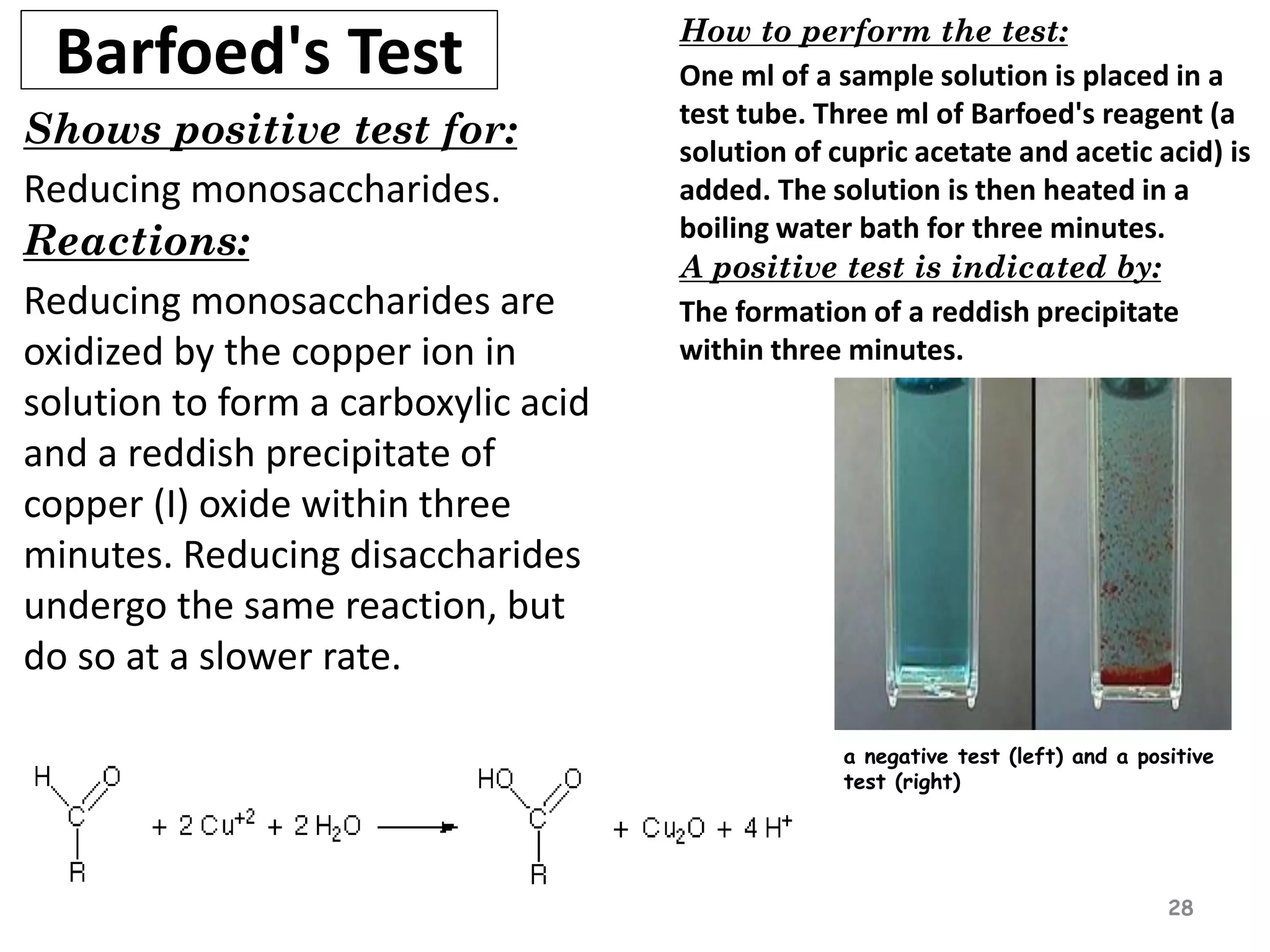 Carbohydrates | PDF