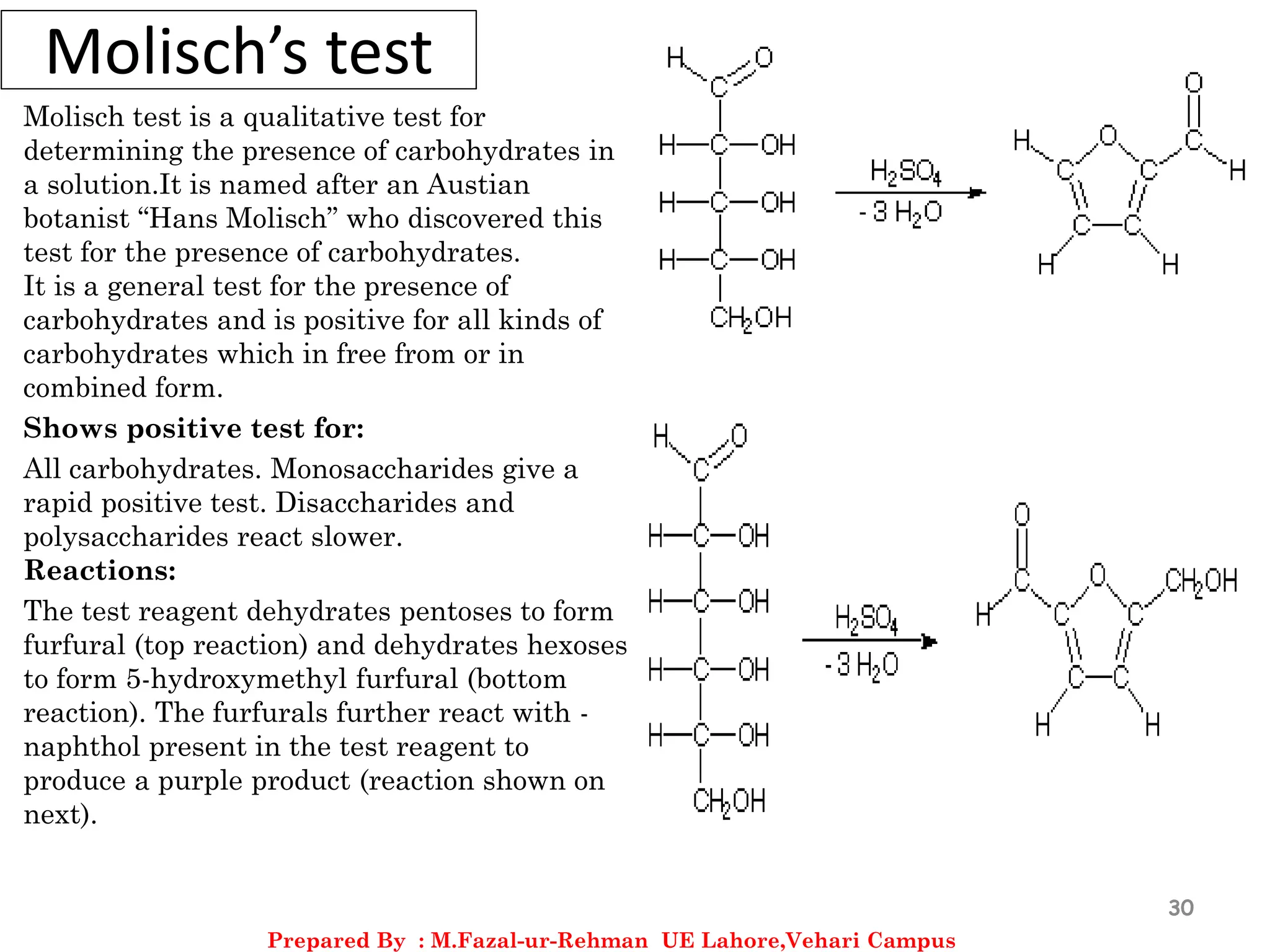 Carbohydrates | PDF