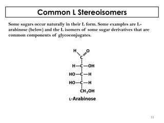 Common L Stereoisomers
Some sugars occur naturally in their L form. Some examples are L-
arabinose (below) and the L isomers of some sugar derivatives that are
common components of glycoconjugates.
11
 
