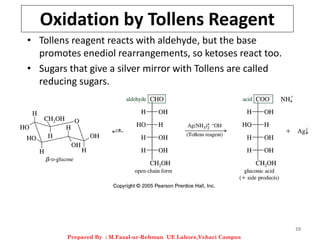 19
Oxidation by Tollens Reagent
• Tollens reagent reacts with aldehyde, but the base
promotes enediol rearrangements, so ketoses react too.
• Sugars that give a silver mirror with Tollens are called
reducing sugars.
Prepared By : M.Fazal-ur-Rehman UE Lahore,Vehari Campus
 