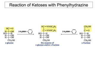 Reaction of Ketoses with Phenylhydrazine
 