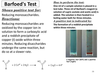 Barfoed's Test
Shows positive test for:
Reducing monosaccharides.
Reactions:
Reducing monosaccharides are
oxidized by the copper ion in
solution to form a carboxylic acid
and a reddish precipitate of
copper (I) oxide within three
minutes. Reducing disaccharides
undergo the same reaction, but
do so at a slower rate.
28
How to perform the test:
One ml of a sample solution is placed in a
test tube. Three ml of Barfoed's reagent (a
solution of cupric acetate and acetic acid) is
added. The solution is then heated in a
boiling water bath for three minutes.
A positive test is indicated by:
The formation of a reddish precipitate
within three minutes.
a negative test (left) and a positive
test (right)
 