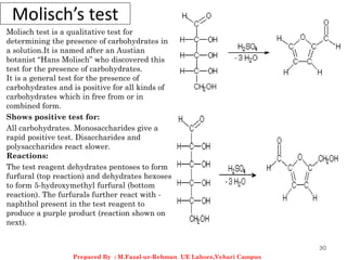 Molisch’s test
Molisch test is a qualitative test for
determining the presence of carbohydrates in
a solution.It is named after an Austian
botanist “Hans Molisch” who discovered this
test for the presence of carbohydrates.
It is a general test for the presence of
carbohydrates and is positive for all kinds of
carbohydrates which in free from or in
combined form.
Shows positive test for:
All carbohydrates. Monosaccharides give a
rapid positive test. Disaccharides and
polysaccharides react slower.
Reactions:
The test reagent dehydrates pentoses to form
furfural (top reaction) and dehydrates hexoses
to form 5-hydroxymethyl furfural (bottom
reaction). The furfurals further react with -
naphthol present in the test reagent to
produce a purple product (reaction shown on
next).
30
Prepared By : M.Fazal-ur-Rehman UE Lahore,Vehari Campus
 