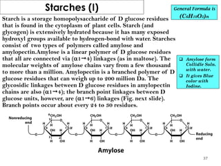 Starches (I)
Starch is a storage homopolysaccharide of D glucose residues
that is found in the cytoplasm of plant cells. Starch (and
glycogen) is extensively hydrated because it has many exposed
hydroxyl groups available to hydrogen-bond with water. Starches
consist of two types of polymers called amylose and
amylopectin.Amylose is a linear polymer of D glucose residues
that all are connected via (14) linkages (as in maltose). The
molecular weights of amylose chains vary from a few thousand
to more than a million. Amylopectin is a branched polymer of D
glucose residues that can weigh up to 200 million Da. The
glycosidic linkages between D glucose residues in amylopectin
chains are also (14); the branch point linkages between D
glucose units, however, are (16) linkages (Fig. next slide).
Branch points occur about every 24 to 30 residues.
General Formula is
(C6H10O5)n
 Amylose form
Collidle Soln.
with water.
 It gives Blue
color with
Iodine.
37
 