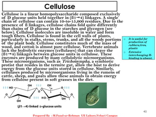 Cellulose
Cellulose is a linear homopolysaccharide composed exclusively
of D glucose units held together in (ß14) linkages. A single
chain of cellulose can contain 10-to-15,000 residues. Due to the
presence of ß linkages, cellulose chains fold quite differently
than chains of D glucose in the starches and glycogen (see
below). Cellulose molecules are insoluble in water and form
tough fibers. Cellulose is found in the cell walls of plants,
particularly in stalks, stems, trunks, and all the woody portions
of the plant body. Cellulose constitutes much of the mass of
wood, and cotton is almost pure cellulose. Vertebrate animals
lack the hydrolytic enzymes (cellulases) that can cleave the
(ß14) linkages between glucose units in cellulose. These
enzymes are produced by many cellulolytic microorganisms.
These microorganisms, such as Trichonympha, a symbiotic
protist that resides in the termite gut, allow the host to derive
energy from the glucose units stored in cellulose. Similarly,
cellulases produced by microorganisms living in the rumens of
cattle, sheep, and goats allow these animals to obtain energy
from cellulose present in soft grasses in the diet.
o It is useful for
production of
rubbers,tires,
plastic
o Extensive
interchanging H-
binding is absent.
40
Prepared By : M.Fazal-ur-Rehman UE Lahore,Vehari Campus
 