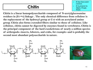 Chitin
Chitin is a linear homopolysaccharide composed of N-acetylglucosamine
residues in (ß14) linkage . The only chemical difference from cellulose is
the replacement of the hydroxyl group at C-2 with an acetylated amino
group. Chitin also forms extended fibers similar to those of cellulose. Like
cellulose, chitin cannot be digested by enzymes found in vertebrates. Chitin is
the principal component of the hard exoskeletons of nearly a million species
of arthropods--insects, lobsters, and crabs, for example--and is probably the
second most abundant polysaccharide in nature.
o It has less water
content.
o It is present in
Algae, Fungi,
Yeast.
41
 