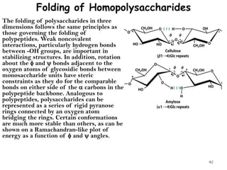 Folding of Homopolysaccharides
The folding of polysaccharides in three
dimensions follows the same principles as
those governing the folding of
polypeptides. Weak noncovalent
interactions, particularly hydrogen bonds
between -OH groups, are important in
stabilizing structures. In addition, rotation
about the  and  bonds adjacent to the
oxygen atoms of glycosidic bonds between
monosaccharide units have steric
constraints as they do for the comparable
bonds on either side of the  carbons in the
polypeptide backbone. Analogous to
polypeptides, polysaccharides can be
represented as a series of rigid pyranose
rings connected by an oxygen atom
bridging the rings. Certain conformations
are much more stable than others, as can be
shown on a Ramachandran-like plot of
energy as a function of  and  angles.
42
 