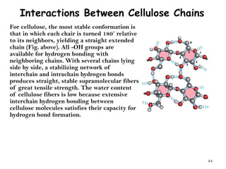 Interactions Between Cellulose Chains
For cellulose, the most stable conformation is
that in which each chair is turned 180˚ relative
to its neighbors, yielding a straight extended
chain (Fig. above). All -OH groups are
available for hydrogen bonding with
neighboring chains. With several chains lying
side by side, a stabilizing network of
interchain and intrachain hydrogen bonds
produces straight, stable supramolecular fibers
of great tensile strength. The water content
of cellulose fibers is low because extensive
interchain hydrogen bonding between
cellulose molecules satisfies their capacity for
hydrogen bond formation.
44
 