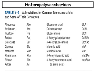 Heteropolysaccharides
 