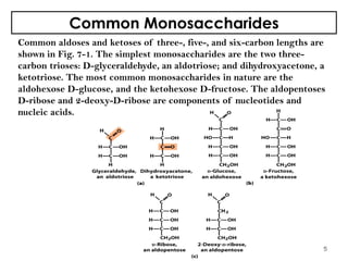 Common Monosaccharides
Common aldoses and ketoses of three-, five-, and six-carbon lengths are
shown in Fig. 7-1. The simplest monosaccharides are the two three-
carbon trioses: D-glyceraldehyde, an aldotriose; and dihydroxyacetone, a
ketotriose. The most common monosaccharides in nature are the
aldohexose D-glucose, and the ketohexose D-fructose. The aldopentoses
D-ribose and 2-deoxy-D-ribose are components of nucleotides and
nucleic acids.
5
 