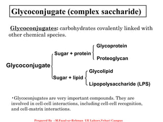 Glycoconjugate (complex saccharide)
Glycoconjugate
Sugar + lipid
Sugar + protein
Glycolipid
Lipopolysaccharide (LPS)
Glycoprotein
Proteoglycan
Glycoconjugates: carbohydrates covalently linked with
other chemical species.
•Glycoconjugates are very important compounds. They are
involved in cell-cell interactions, including cell-cell recognition,
and cell-matrix interactions.
Prepared By : M.Fazal-ur-Rehman UE Lahore,Vehari Campus
 