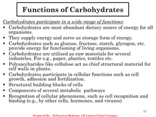 Functions of Carbohydrates
Carbohydrates participate in a wide range of functions:
 Carbohydrates are most abundant dietary source of energy for all
organisms.
 They supply energy and serve as storage form of energy.
 Carbohydrates such as glucose, fructose, starch, glycogen, etc.
provide energy for functioning of living organisms.
 Carbohydrates are utilized as raw materials for several
industries. For e.g., paper, plastics, textiles etc.
 Polysaccharides like cellulose act as chief structural material for
cell walls in plants.
 Carbohydrates participate in cellular functions such as cell
growth, adhesion and fertilization.
 Structural building blocks of cells
 Components of several metabolic pathways
 Recognition of cellular phenomena, such as cell recognition and
binding (e.g., by other cells, hormones, and viruses)
57
Prepared By : M.Fazal-ur-Rehman UE Lahore,Vehari Campus
 