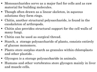  Monosaccharides serve as a major fuel for cells and as raw
material for building molecules.
 Though often drawn as a linear skeleton, in aqueous
solutions they form rings.
 Chitin, another structural polysaccharide, is found in the
exoskeleton of arthropods.
 Chitin also provides structural support for the cell walls of
many fungi.
 Chitin can be used as surgical thread.
 Starch, a storage polysaccharide of plants, consists entirely
of glucose monomers.
 Plants store surplus starch as granules within chloroplasts
and other plastids .
 Glycogen is a storage polysaccharide in animals.
 Humans and other vertebrates store glycogen mainly in liver
and muscle cells.
 