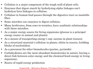  Cellulose is a major component of the tough wall of plant cells.
 Enzymes that digest starch by hydrolyzing alpha linkages can’t
hydrolyze beta linkages in cellulose.
 Cellulose in human food passes through the digestive tract as insoluble
fiber.
 Some microbes use enzymes to digest cellulose.
 Many herbivores, from cows to termites, have symbiotic relationships
with these microbes.
 As a major energy source for living organisms (glucose is a principal
energy source in animal and plants)
 As a means of transporting energy ( exp: sucrose in plant tissues)
 As a structural material ( cellulose in plants, chitin in insects, building
blocks of nucleotides).
 As a precursor for other biomolecules (purine, pyrimide)
 Carbohydrates are the most abundant biomolecules in nature, having a
direct link between solar energy and the chemical bond energy in living
organisms.
 Source of rapid energy production
Prepared By : M.Fazal-ur-Rehman UE Lahore,Vehari Campus
 