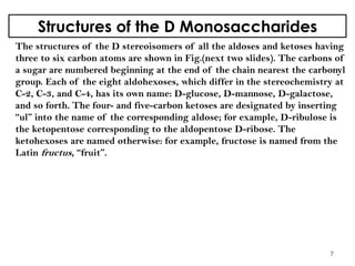 Structures of the D Monosaccharides
The structures of the D stereoisomers of all the aldoses and ketoses having
three to six carbon atoms are shown in Fig.(next two slides). The carbons of
a sugar are numbered beginning at the end of the chain nearest the carbonyl
group. Each of the eight aldohexoses, which differ in the stereochemistry at
C-2, C-3, and C-4, has its own name: D-glucose, D-mannose, D-galactose,
and so forth. The four- and five-carbon ketoses are designated by inserting
“ul” into the name of the corresponding aldose; for example, D-ribulose is
the ketopentose corresponding to the aldopentose D-ribose. The
ketohexoses are named otherwise: for example, fructose is named from the
Latin fructus, “fruit”.
7
 