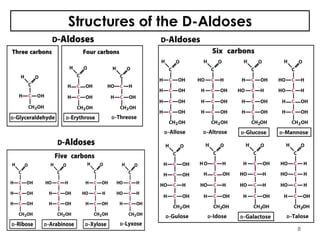Structures of the D-Aldoses
8
 