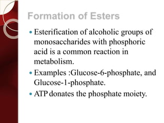Formation of Esters
 Esterification of alcoholic groups of
monosaccharides with phosphoric
acid is a common reaction in
metabolism.
 Examples :Glucose-6-phosphate, and
Glucose-1-phosphate.
 ATPdonates the phosphate moiety.
 