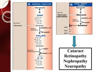 Cataract
Retinopathy
Nephropathy
Neuropathy
 
