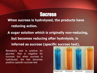 Sucrose
When sucrose is hydrolyzed, the products have
reducing action.
A sugar solution which is originally non-reducing,
but becomes reducing after hydrolysis, is
inferred as sucrose (specific sucrose test).
Benedict's test is positive for
glucose. Test is negative for
sucrose; but when sucrose is
hydrolyzed, the test becomes
positive (specific sucrose test)
 