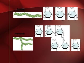 Amylose
Amylopectin
OH
0
OH OH
0 0
OH
0
OH OH
n OH
0
n OH
 
